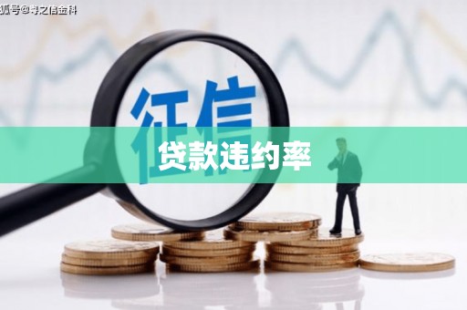 赞皇贷款违约率