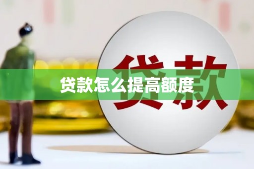 赞皇贷款怎么提高额度
