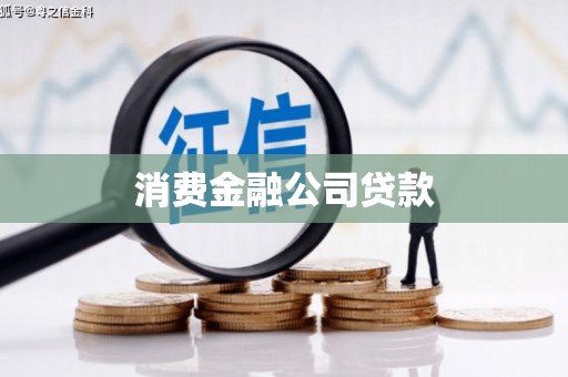 赞皇消费金融公司贷款