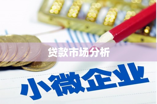 赞皇贷款市场分析
