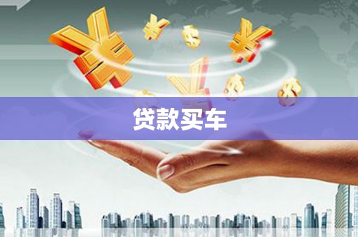 赞皇贷款买车