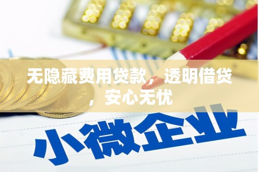 赞皇无隐藏费用贷款，透明借贷，安心无忧