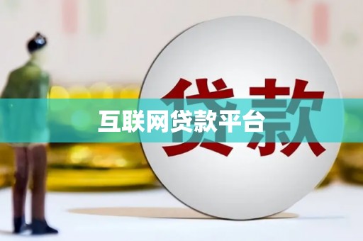 赞皇互联网贷款平台