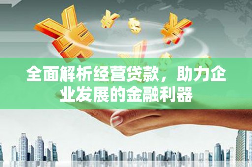赞皇全面解析经营贷款，助力企业发展的金融利器