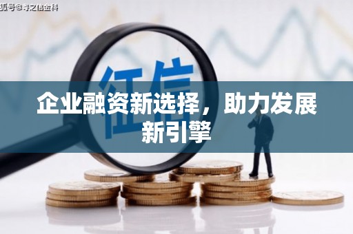 赞皇企业融资新选择，助力发展新引擎