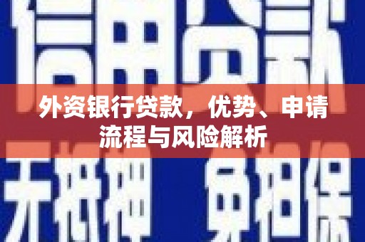 赞皇外资银行贷款，优势、申请流程与风险解析