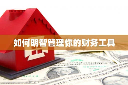 赞皇如何明智管理你的财务工具