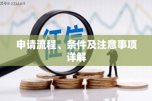 赞皇申请流程、条件及注意事项详解