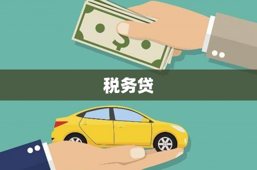 赞皇税务贷