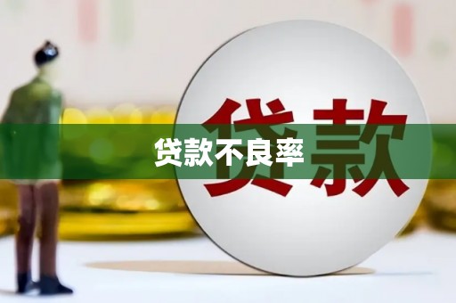 赞皇贷款不良率