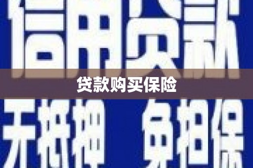 赞皇贷款购买保险
