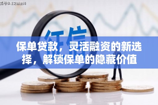 赞皇保单贷款，灵活融资的新选择，解锁保单的隐藏价值