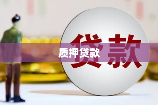 赞皇质押贷款