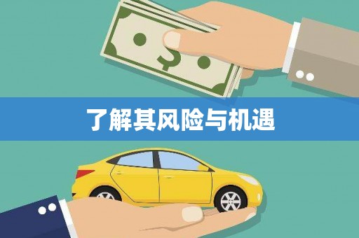 赞皇了解其风险与机遇
