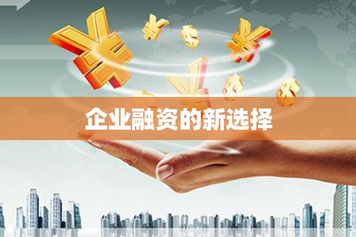 赞皇企业融资的新选择