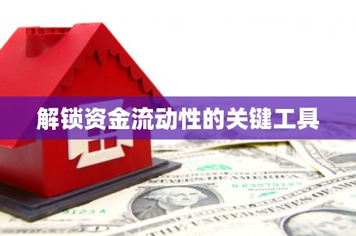 赞皇解锁资金流动性的关键工具