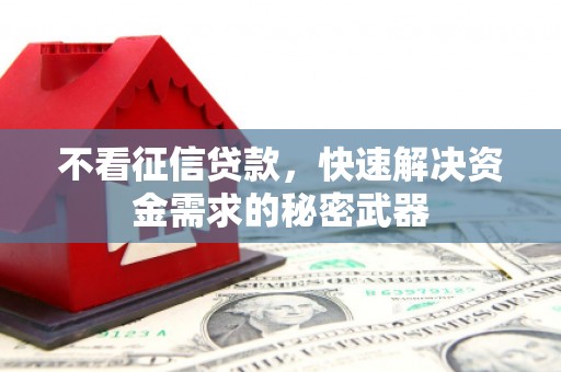 赞皇不看征信贷款，快速解决资金需求的秘密武器