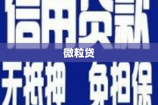 赞皇微粒贷