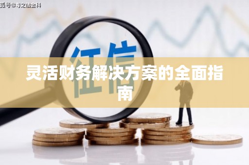 赞皇灵活财务解决方案的全面指南