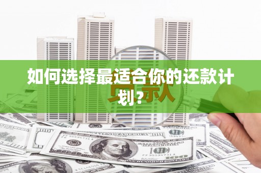 赞皇如何选择最适合你的还款计划？