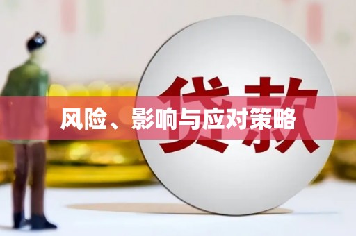 赞皇风险、影响与应对策略