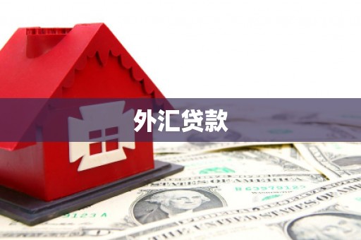 赞皇外汇贷款
