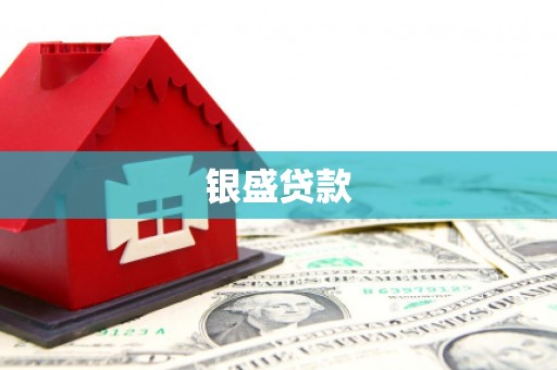 赞皇银盛贷款