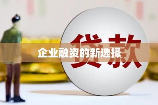 赞皇企业融资的新选择