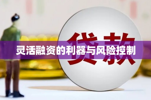 赞皇灵活融资的利器与风险控制