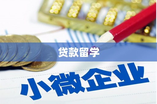 赞皇贷款留学