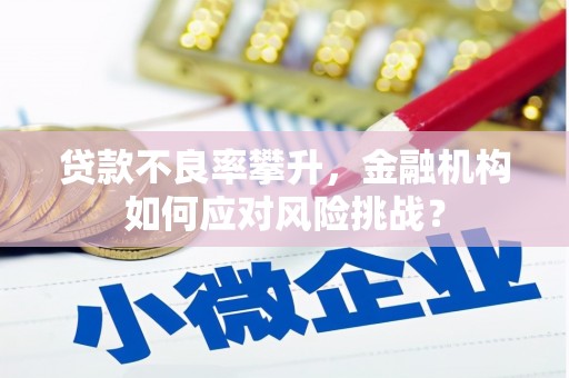 赞皇贷款不良率攀升，金融机构如何应对风险挑战？
