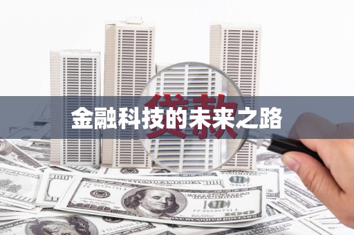 赞皇金融科技的未来之路