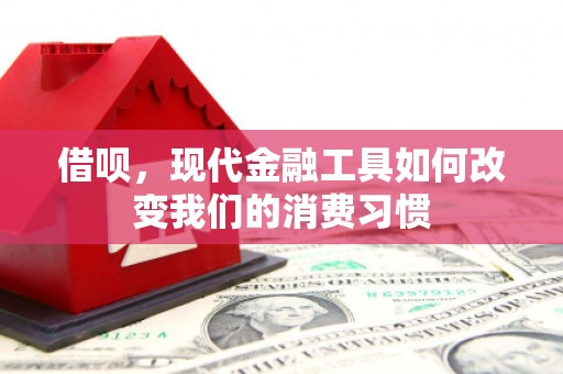 赞皇借呗，现代金融工具如何改变我们的消费习惯