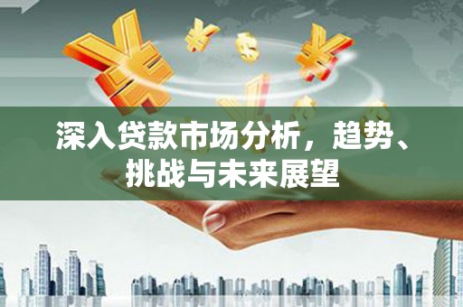 赞皇深入贷款市场分析，趋势、挑战与未来展望