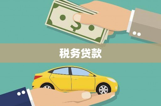赞皇税务贷款