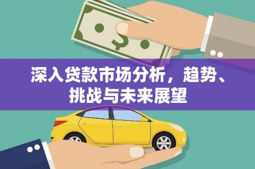 赞皇深入贷款市场分析，趋势、挑战与未来展望