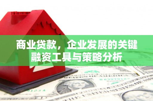 赞皇商业贷款，企业发展的关键融资工具与策略分析