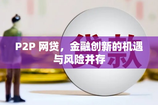 赞皇P2P 网贷，金融创新的机遇与风险并存