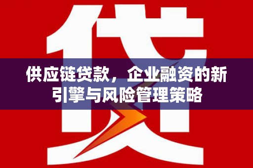 赞皇供应链贷款，企业融资的新引擎与风险管理策略