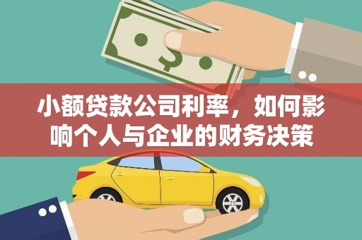 赞皇小额贷款公司利率，如何影响个人与企业的财务决策