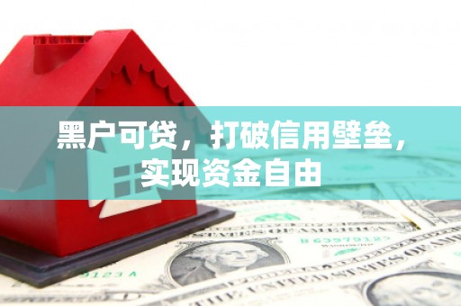 赞皇黑户可贷，打破信用壁垒，实现资金自由