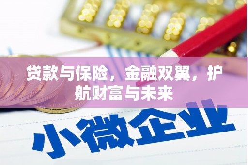 赞皇贷款与保险，金融双翼，护航财富与未来