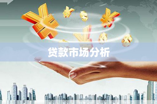 赞皇贷款市场分析