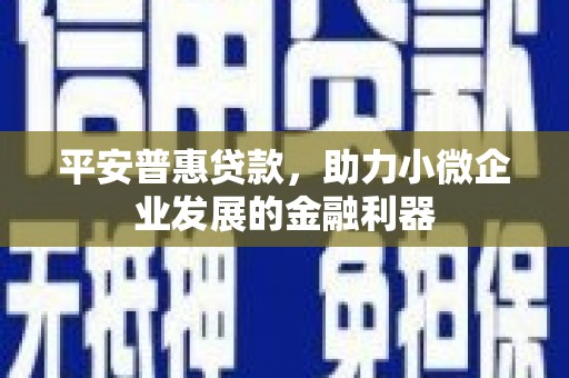 赞皇平安普惠贷款，助力小微企业发展的金融利器