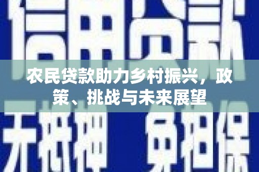 赞皇农民贷款助力乡村振兴，政策、挑战与未来展望