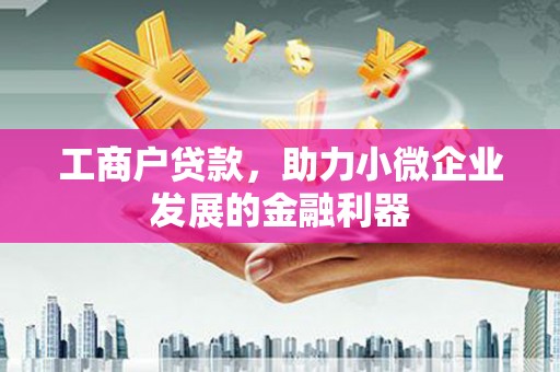赞皇工商户贷款，助力小微企业发展的金融利器
