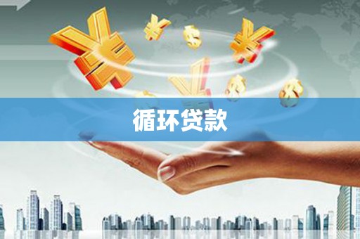 赞皇循环贷款