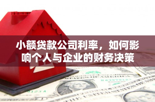 赞皇小额贷款公司利率，如何影响个人与企业的财务决策