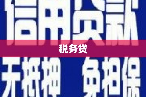 赞皇税务贷