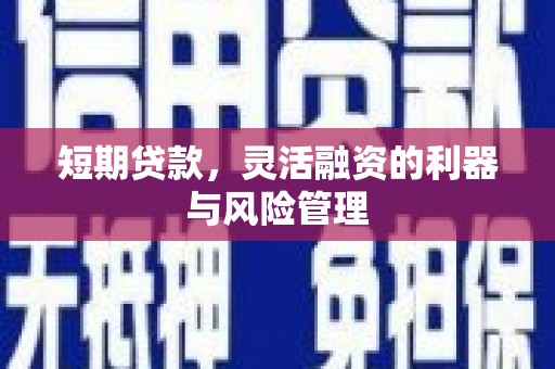 赞皇短期贷款，灵活融资的利器与风险管理